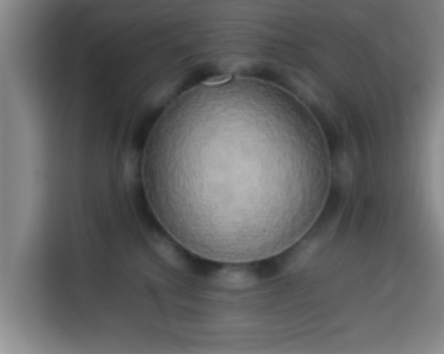 X0000113930280200910021248