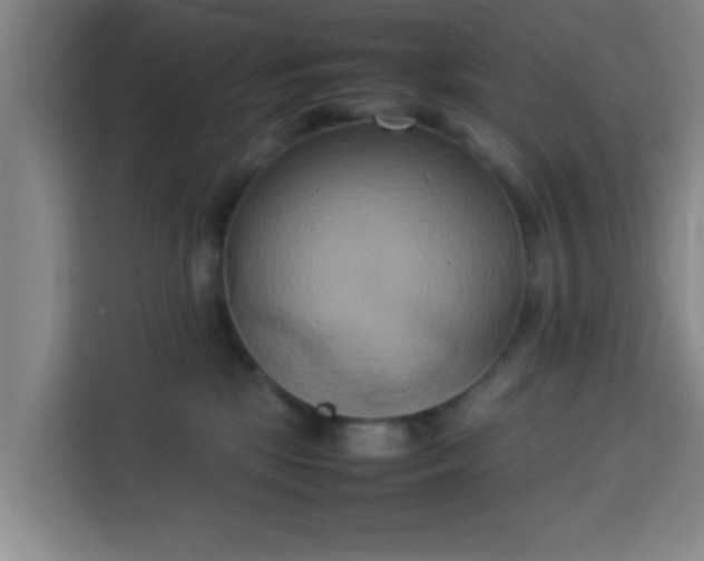 X0000113930281200910021248