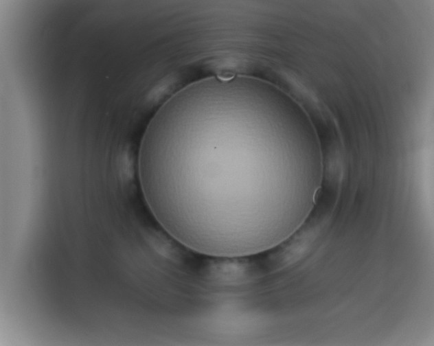 X0000113930282200910021248