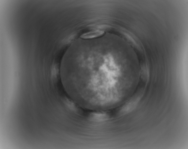 X0000113930284200910021248