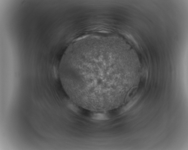 X0000113930285200910021248