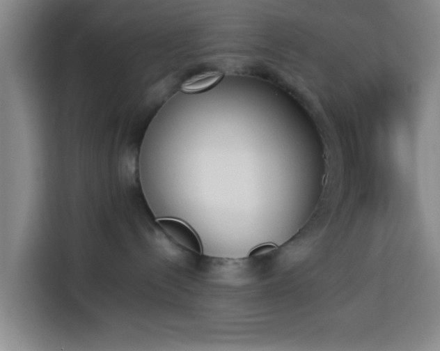 X0000113930288200910021248