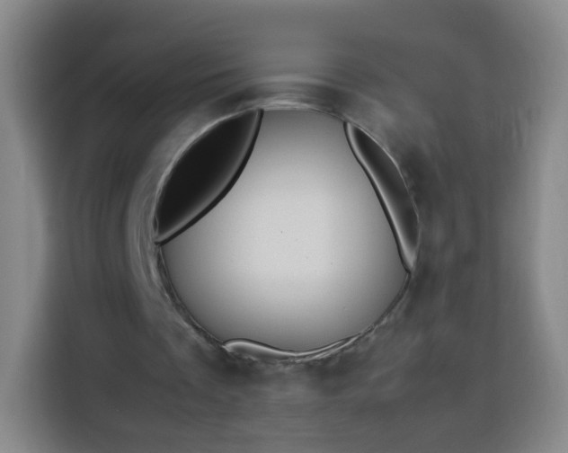 X0000113930289200910021248