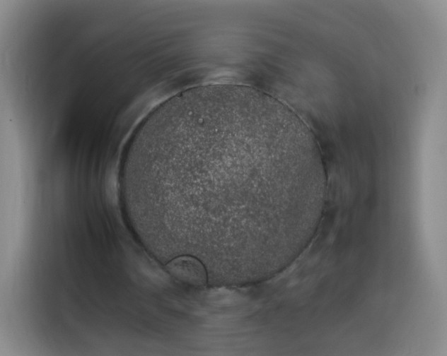 X0000113930290200910021248