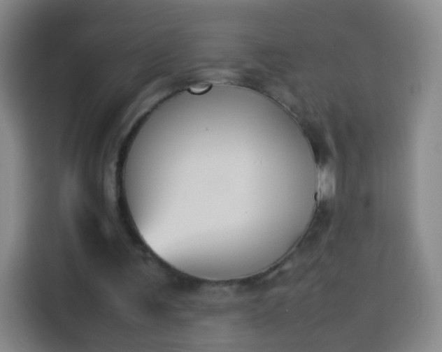 X0000113930291200910021248