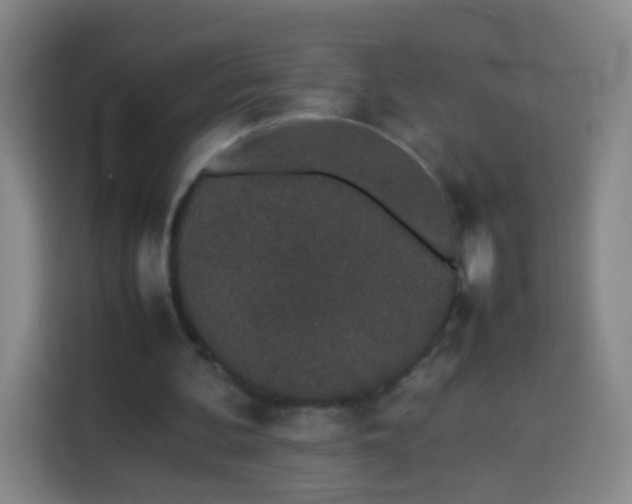 X0000113930292200910021248