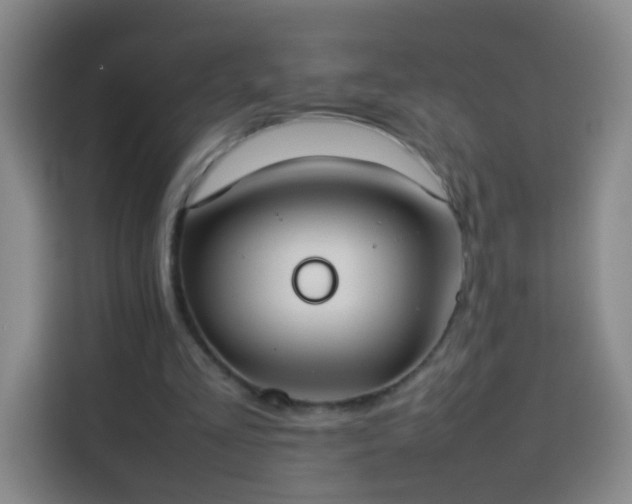 X0000113930293200910021248