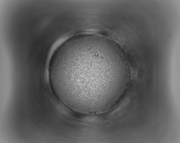 X0000113930294200910021248