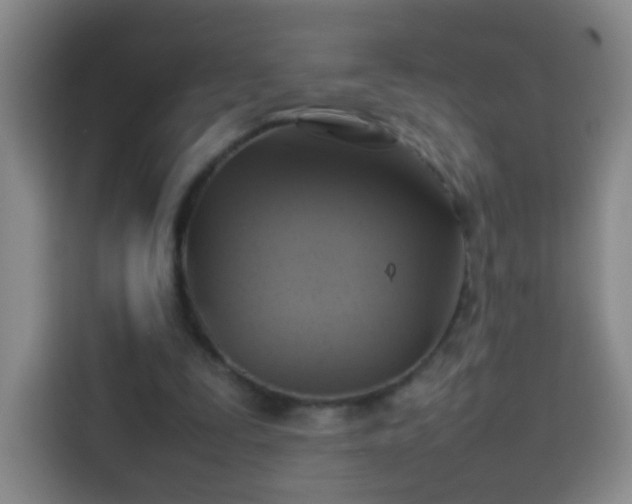 X0000113930295200910021248