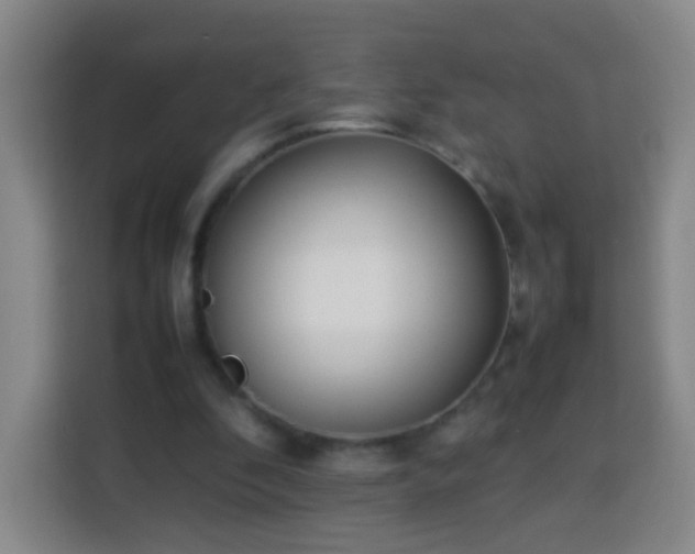 X0000113930296200910021248