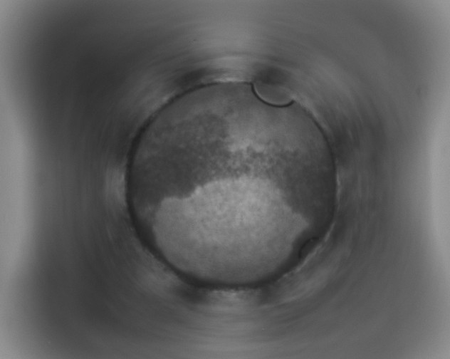 X0000113930297200910021248