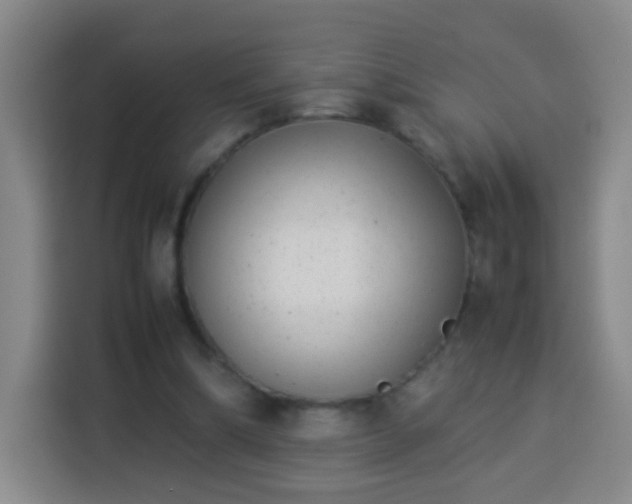 X0000113930298200910021248