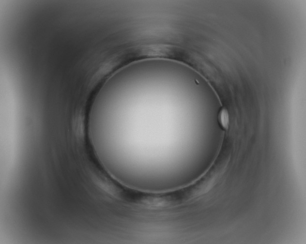 X0000113930299200910021248