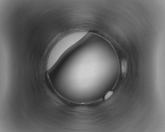 X0000113930300200910021248