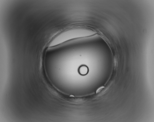 X0000113930301200910021248