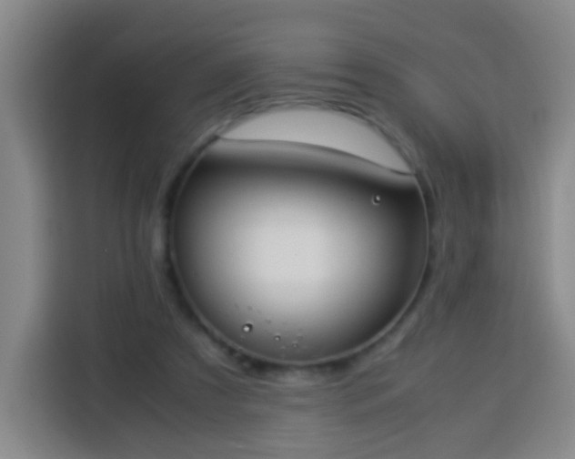 X0000113930305200910021247