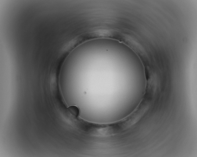 X0000113930306200910021247