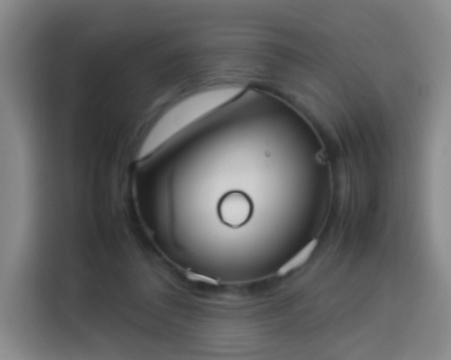 X0000113930308200910021247