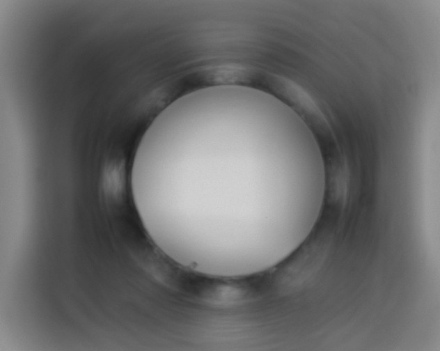 X0000113930310200910021247