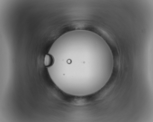 X0000113930311200910021247