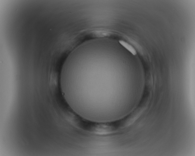 X0000113930315200910021247