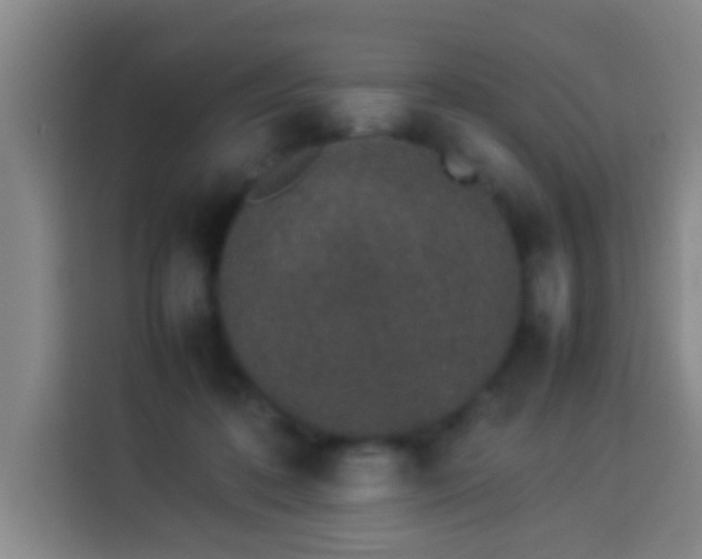 X0000113930316200910021247