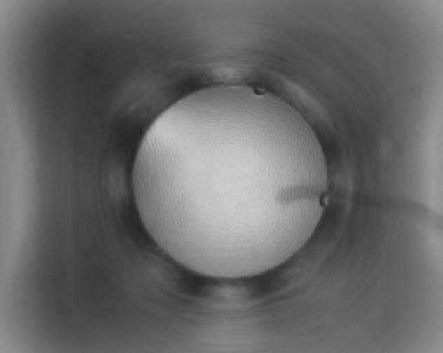 X0000113930317200910021247