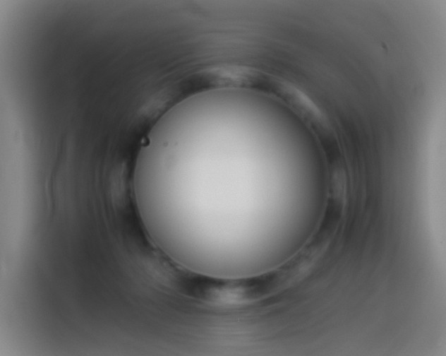 X0000113930318200910021247