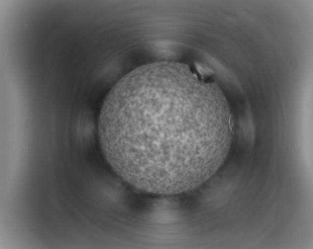 X0000113930320200910021247