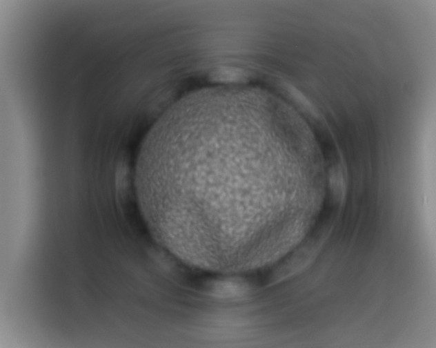 X0000113930322200910021247