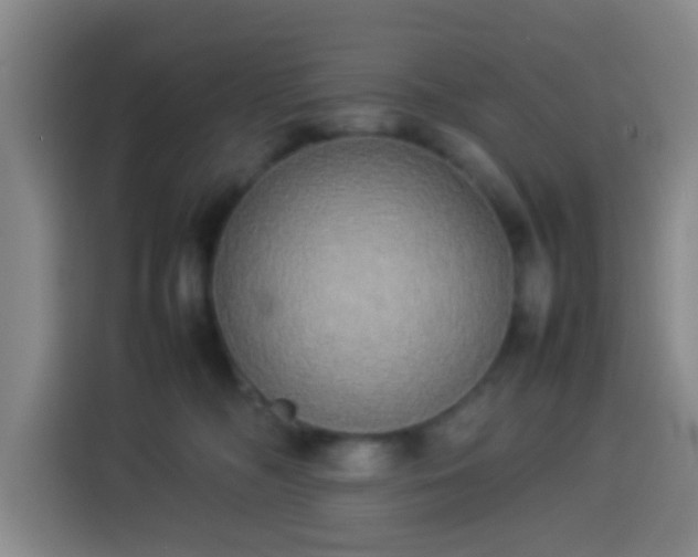 X0000113930326200910021247