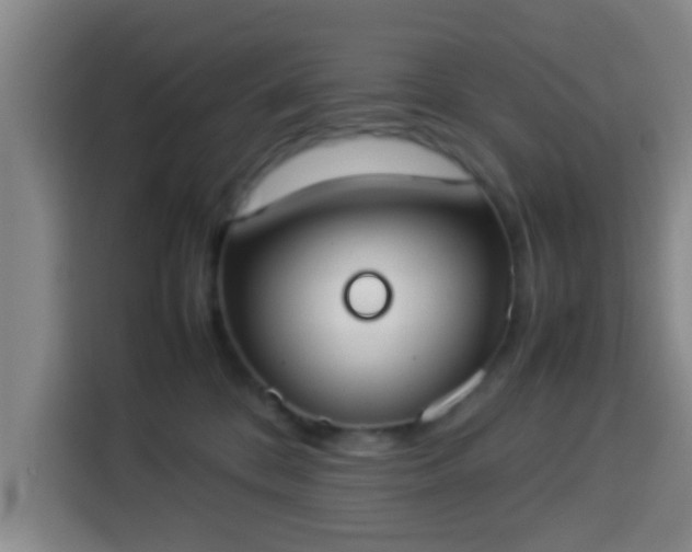 X0000113930328200910021247