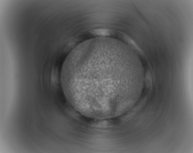 X0000113930330200910021247