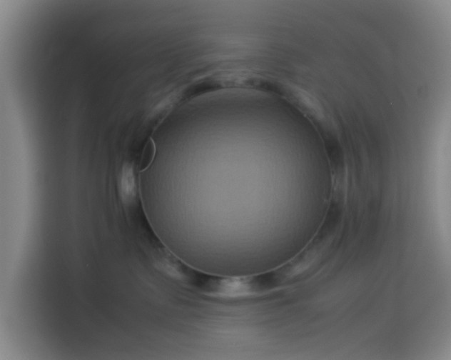 X0000113930335200910021247