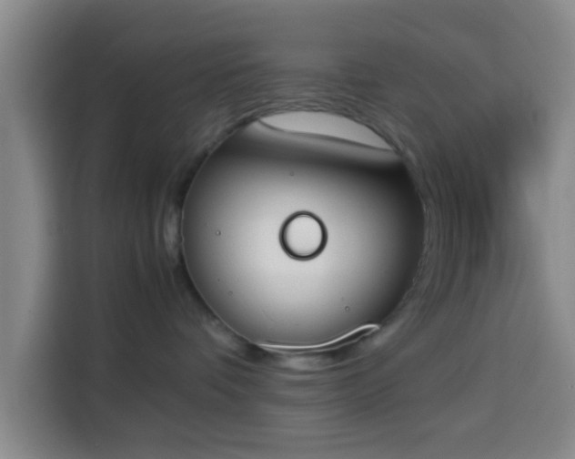 X0000113930336200910021247