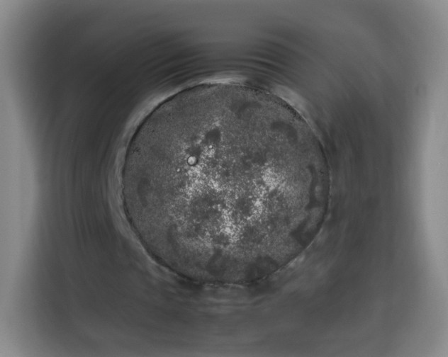 X0000113930337200910021246