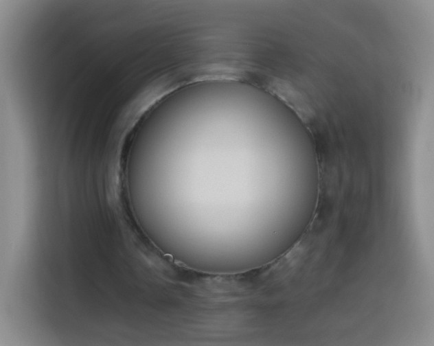 X0000113930338200910021246