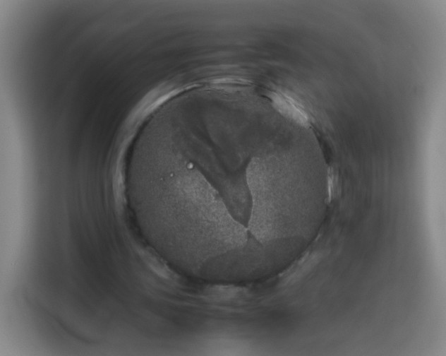 X0000113930339200910021246