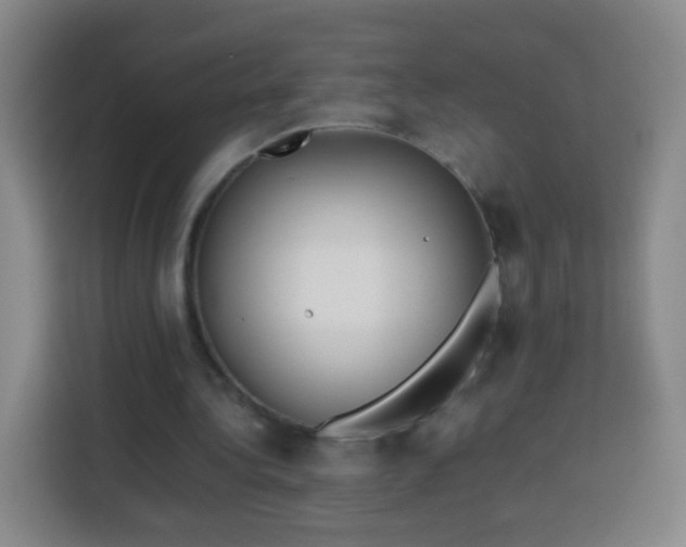 X0000113930340200910021247