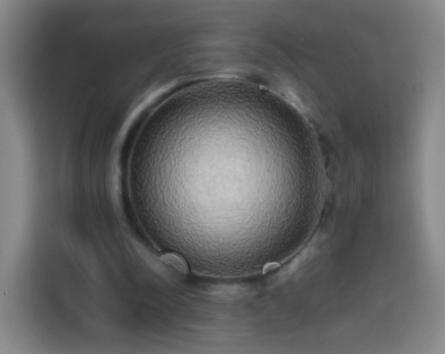 X0000113930342200910021247