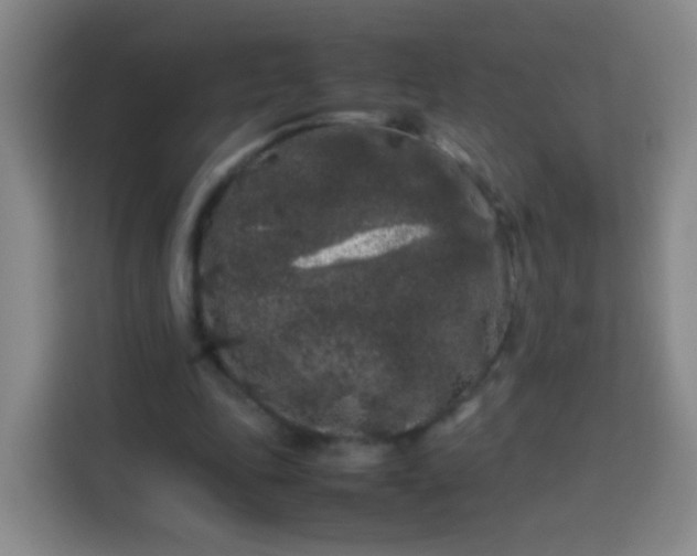 X0000113930343200910021247