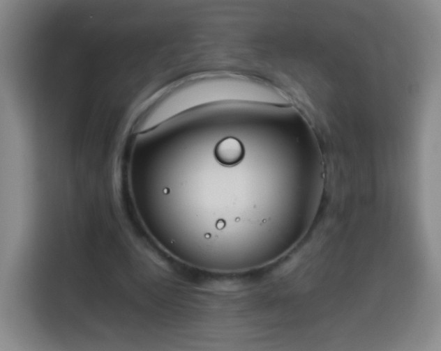 X0000113930344200910021247