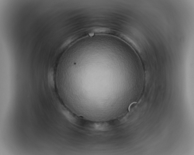 X0000113930345200910021247