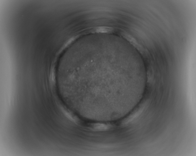 X0000113930347200910021247