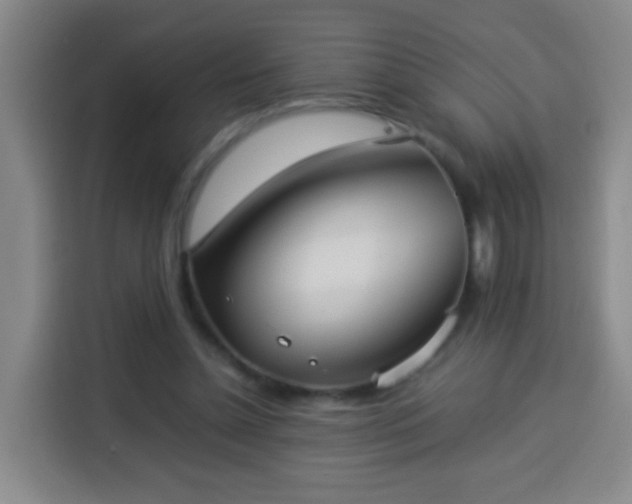 X0000113930348200910021247