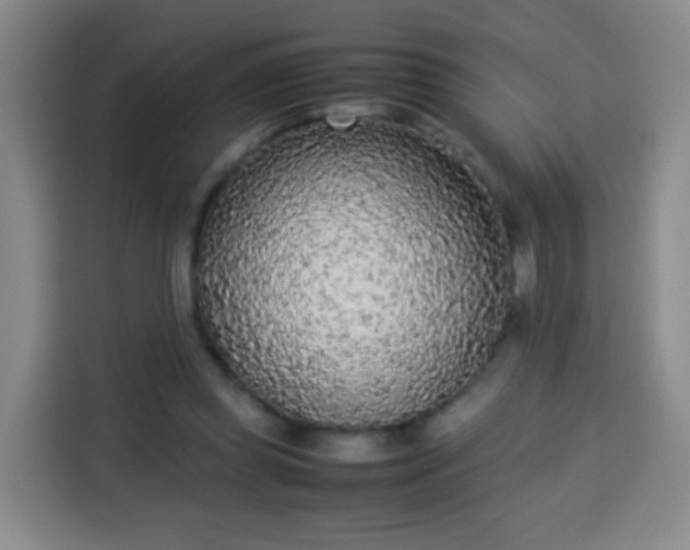 X0000113930349200910021247