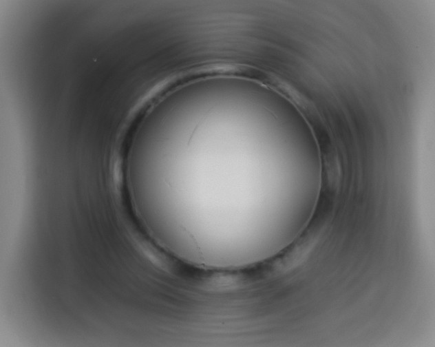 X0000113930350200910021247