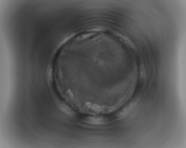 X0000113930351200910021247