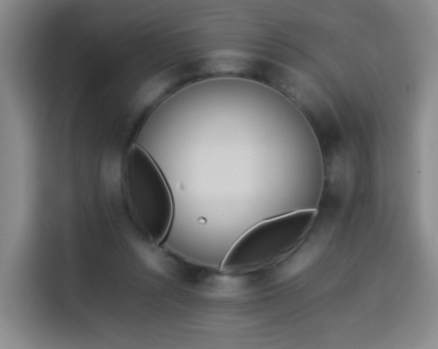 X0000113930352200910021247