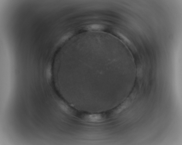 X0000113930353200910021247